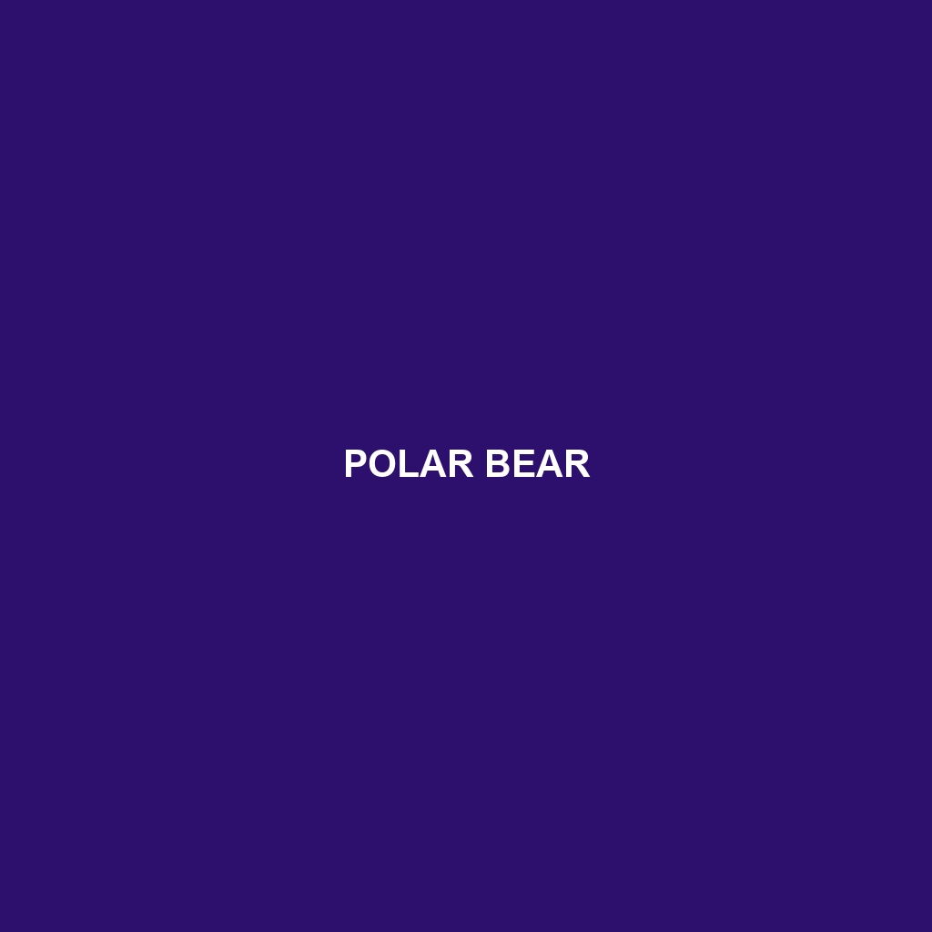 Polar Bear