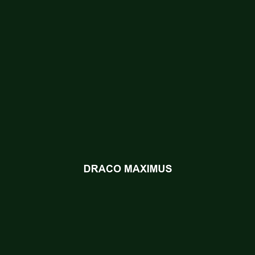 Draco maximus