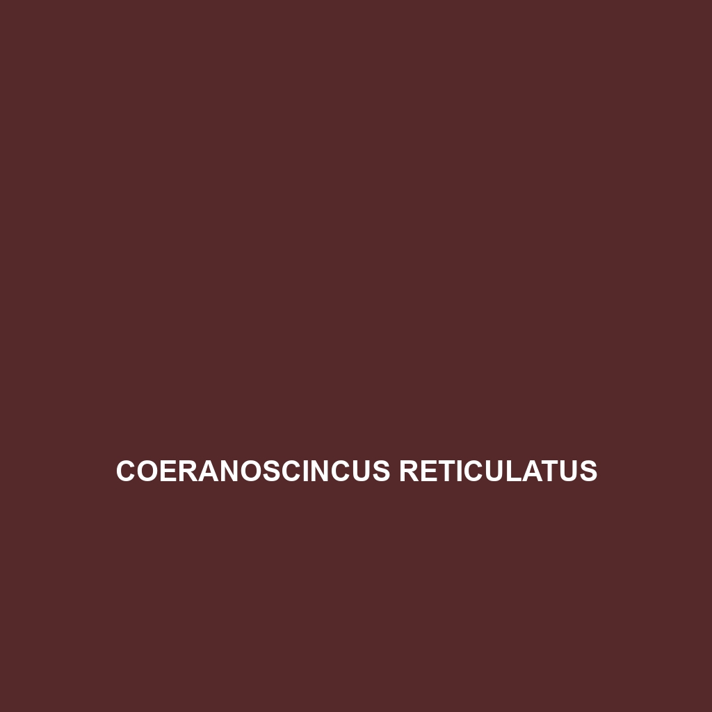 Coeranoscincus reticulatus