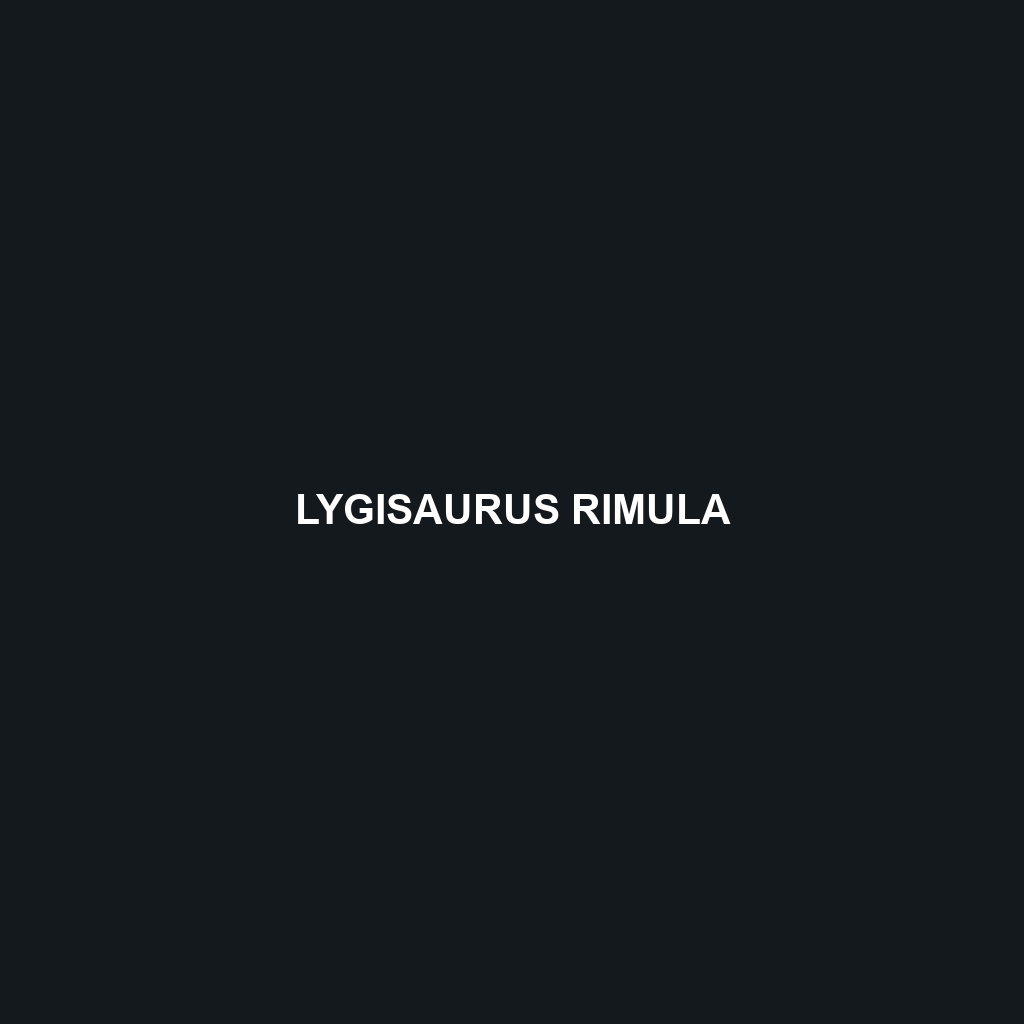 Lygisaurus rimula