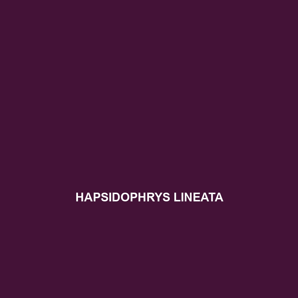 Hapsidophrys lineata