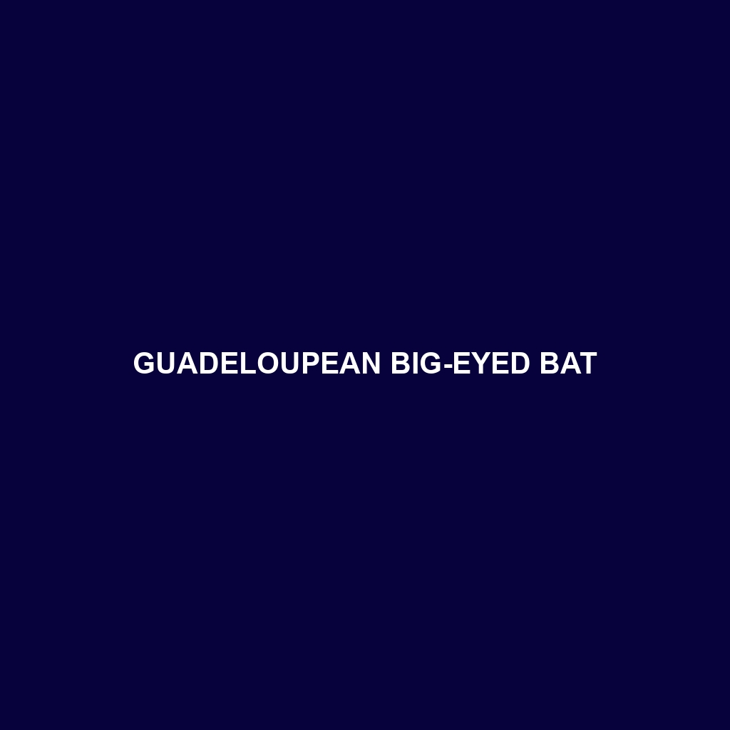 Guadeloupean Big-eyed Bat