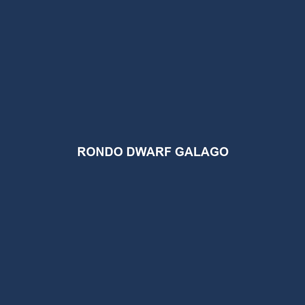 Rondo Dwarf Galago