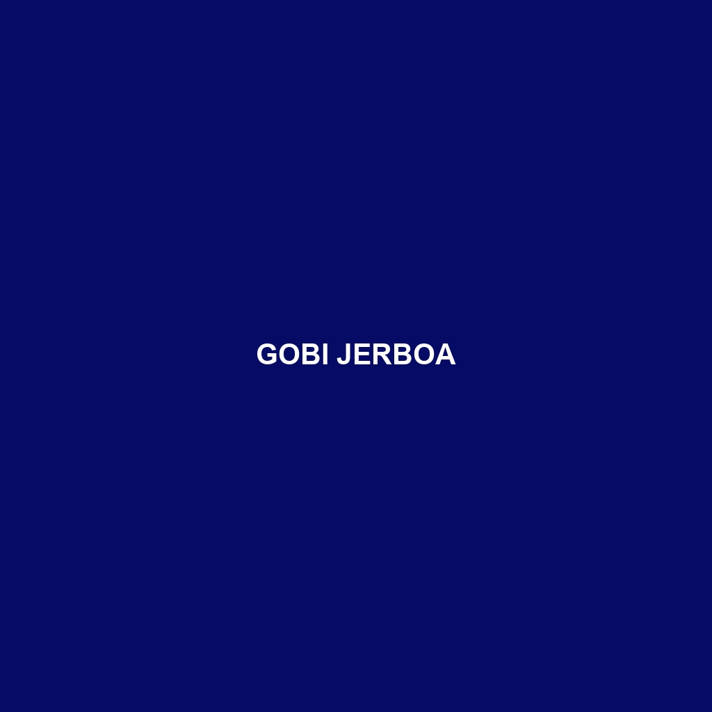 Gobi Jerboa