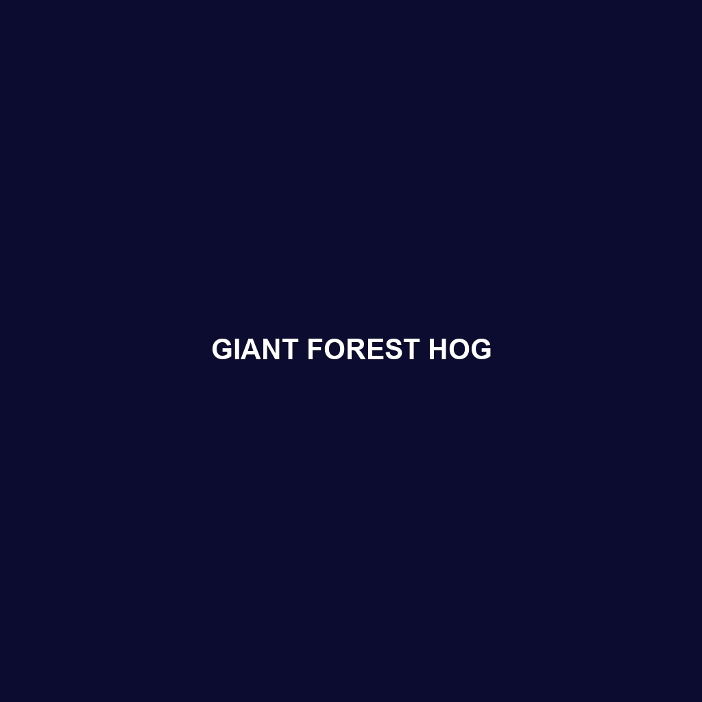 Giant Forest Hog