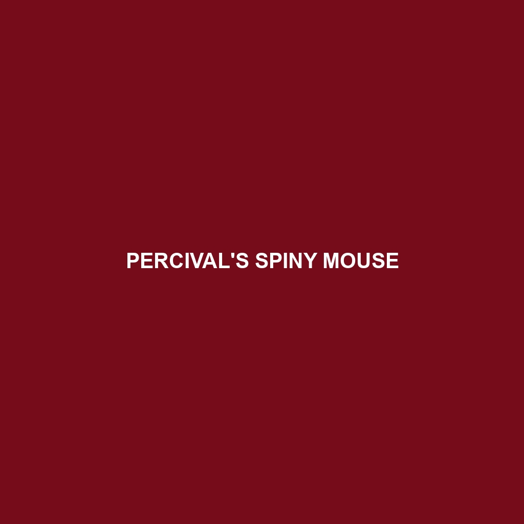 Percival's Spiny Mouse