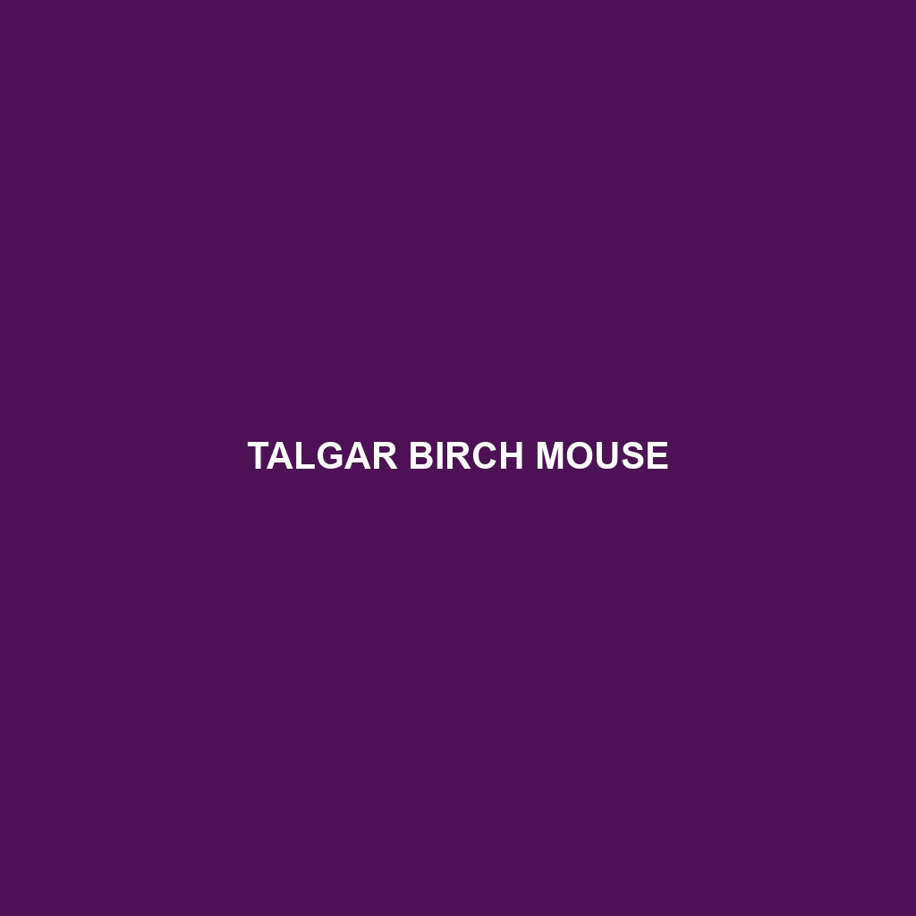 Talgar Birch Mouse