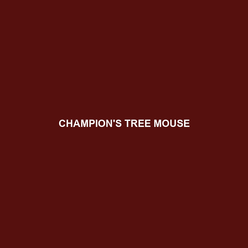 Champion's Tree Mouse