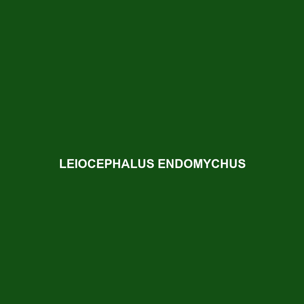 Leiocephalus endomychus