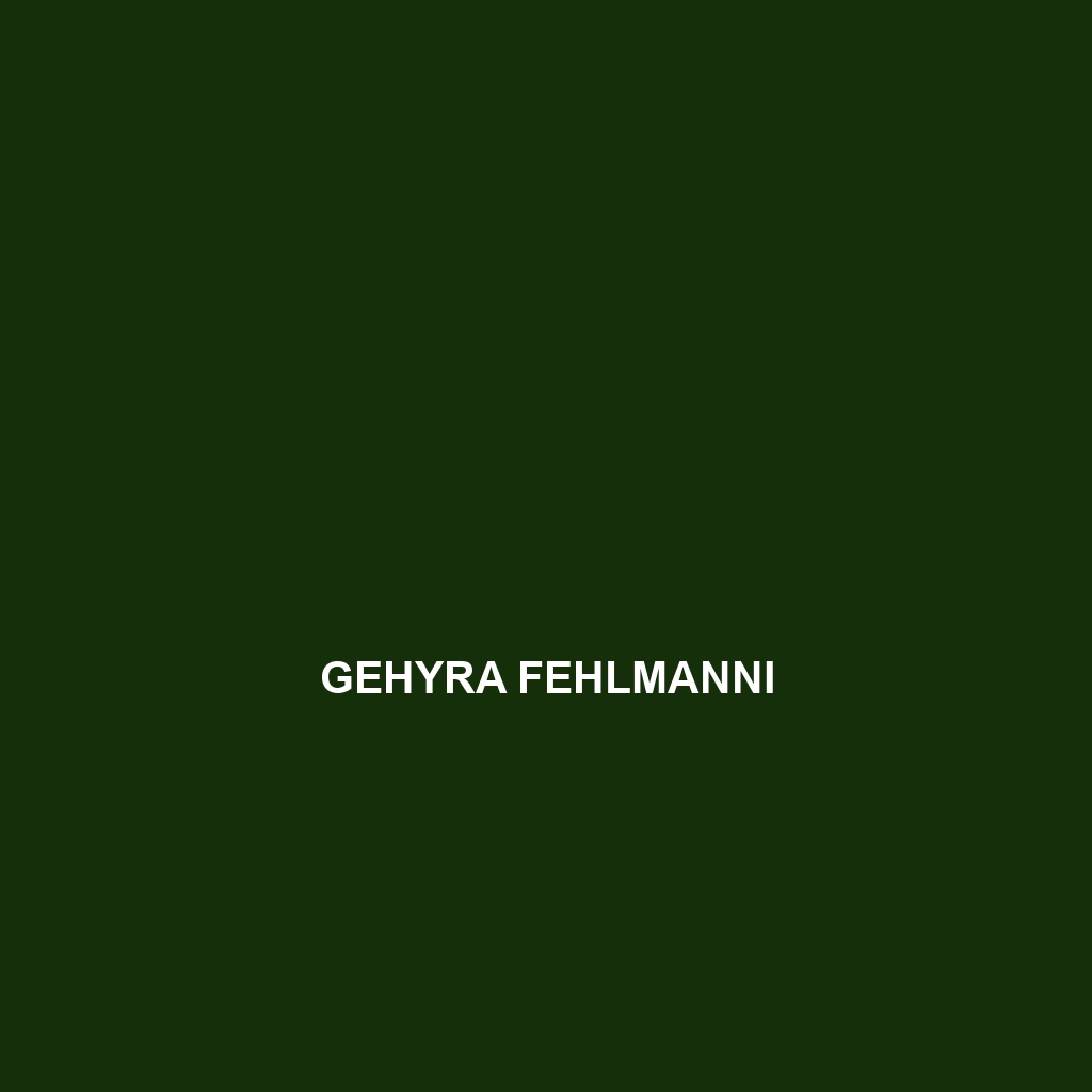 Gehyra fehlmanni