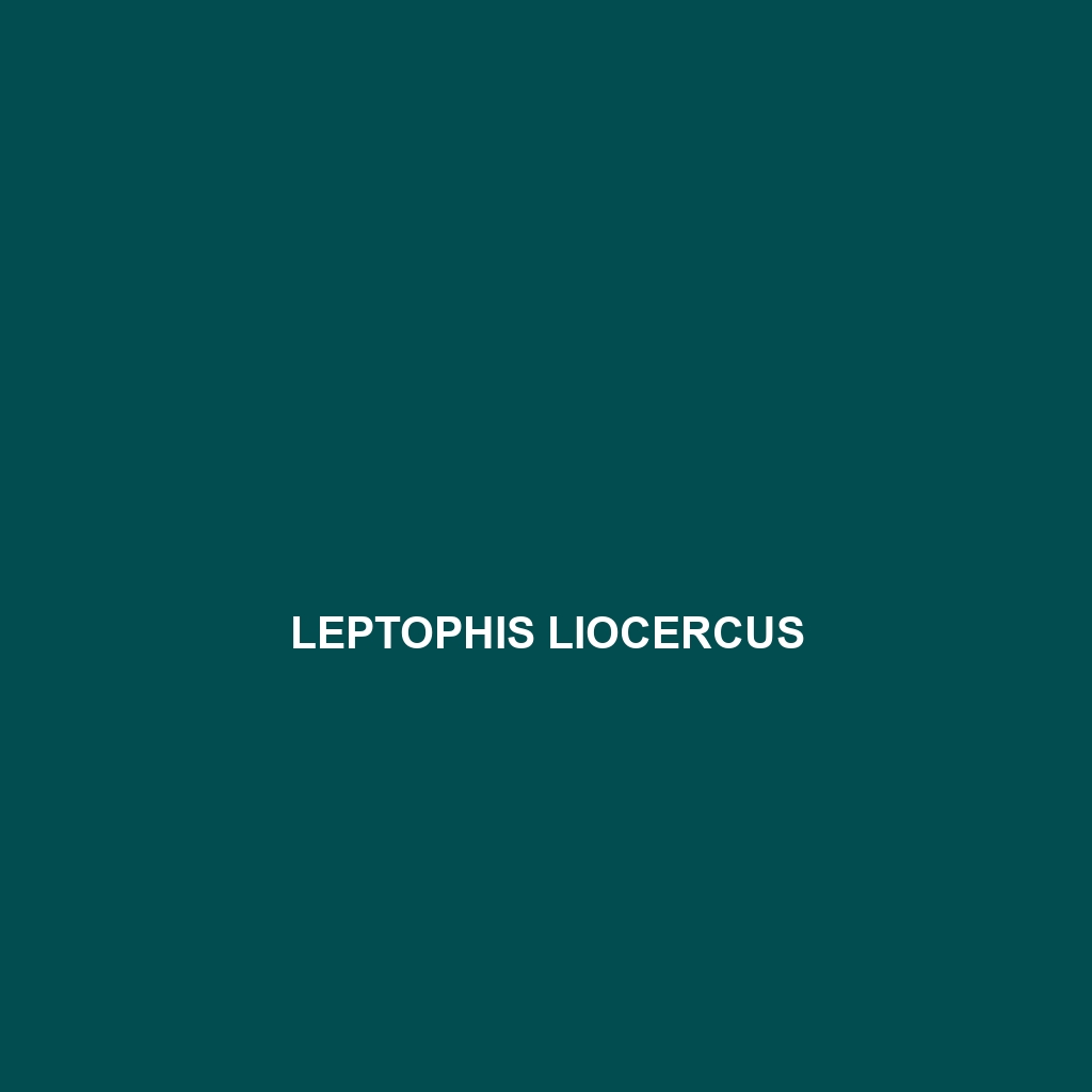 Leptophis liocercus