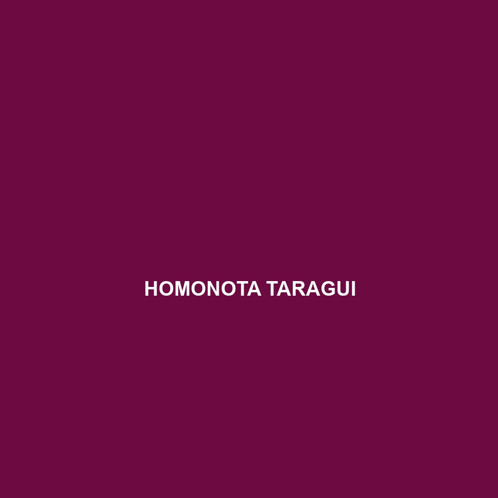 Homonota taragui