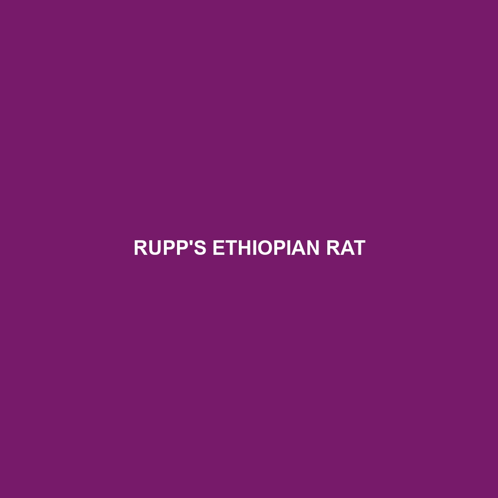 Rupp's Ethiopian Rat