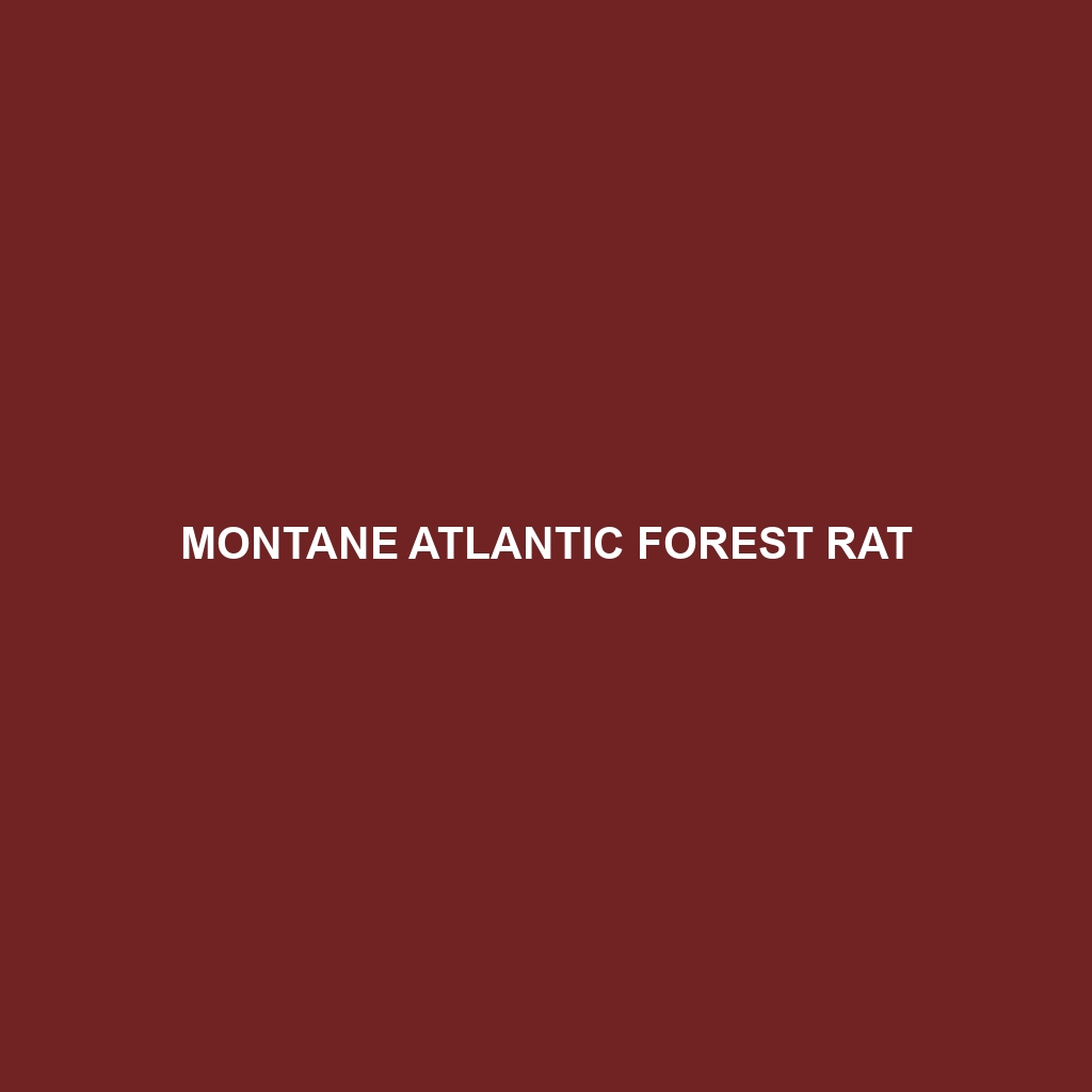 Montane Atlantic Forest Rat