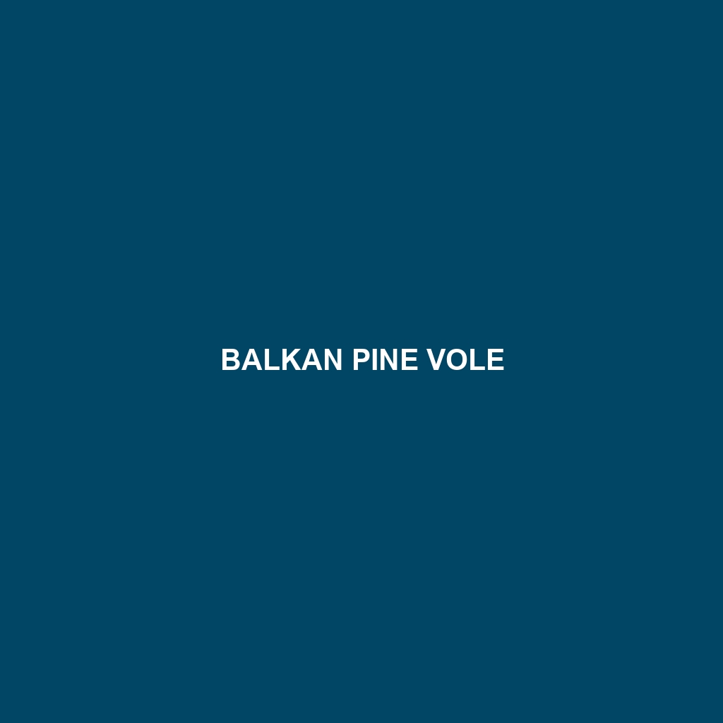 Balkan Pine Vole