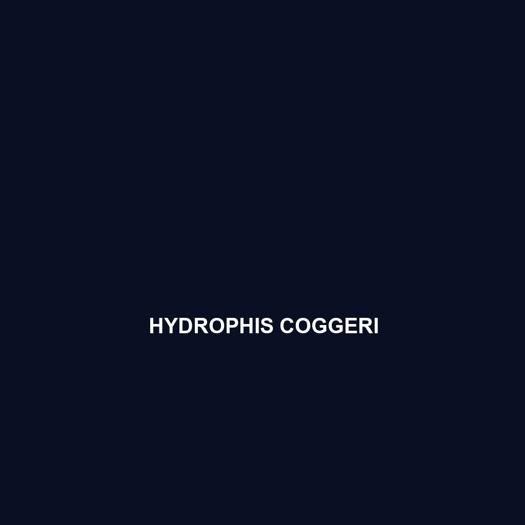 Hydrophis coggeri