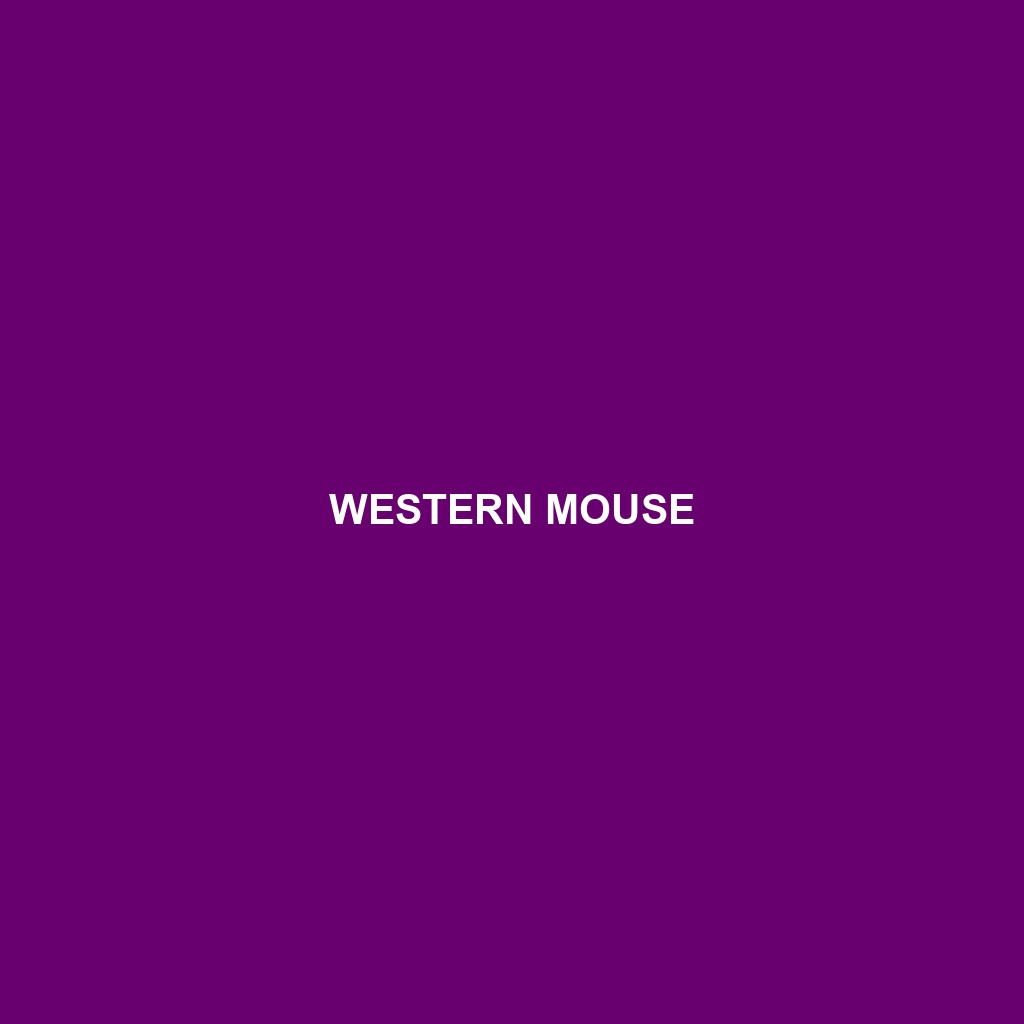 Western Mouse