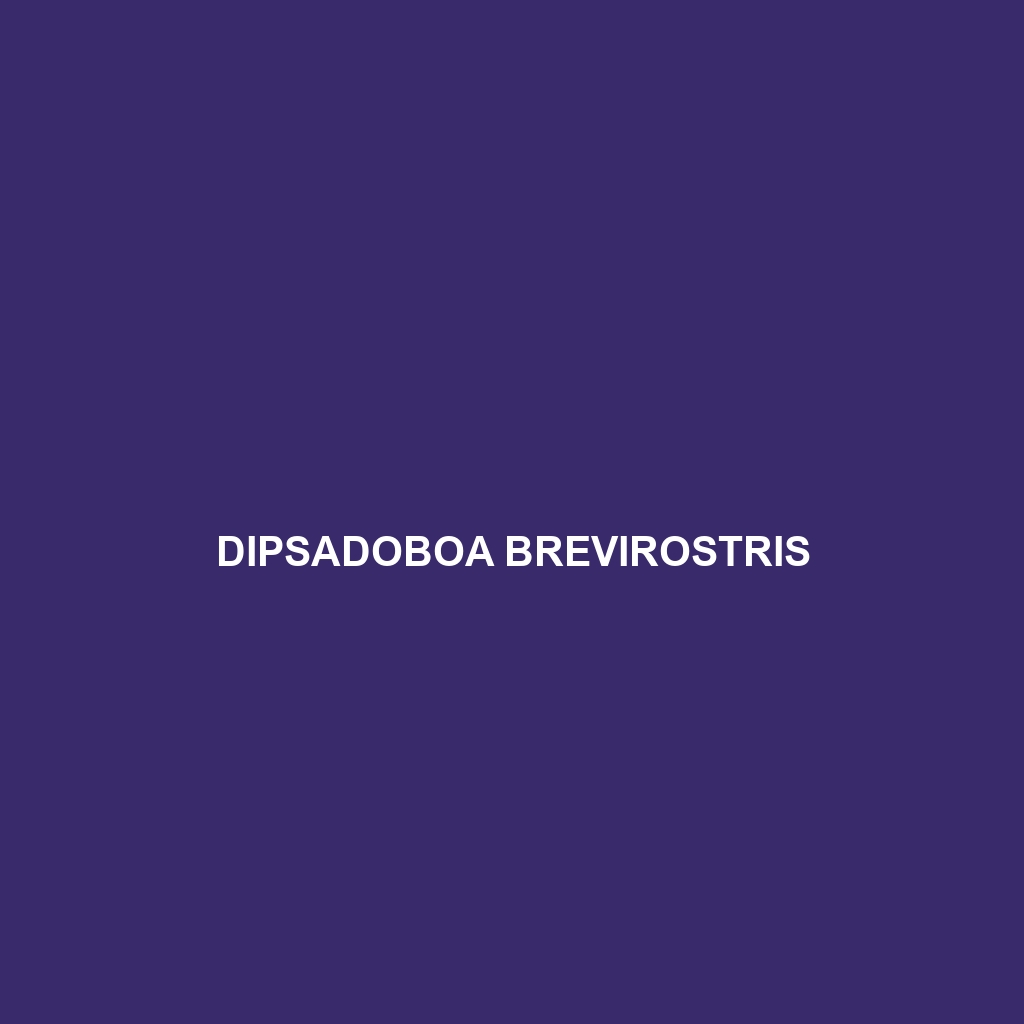 Dipsadoboa brevirostris