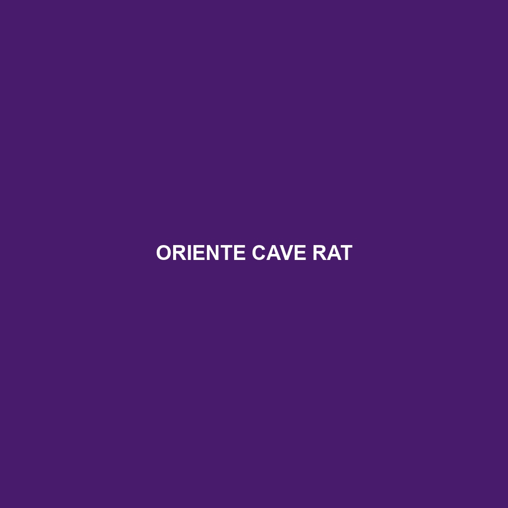 Oriente Cave Rat