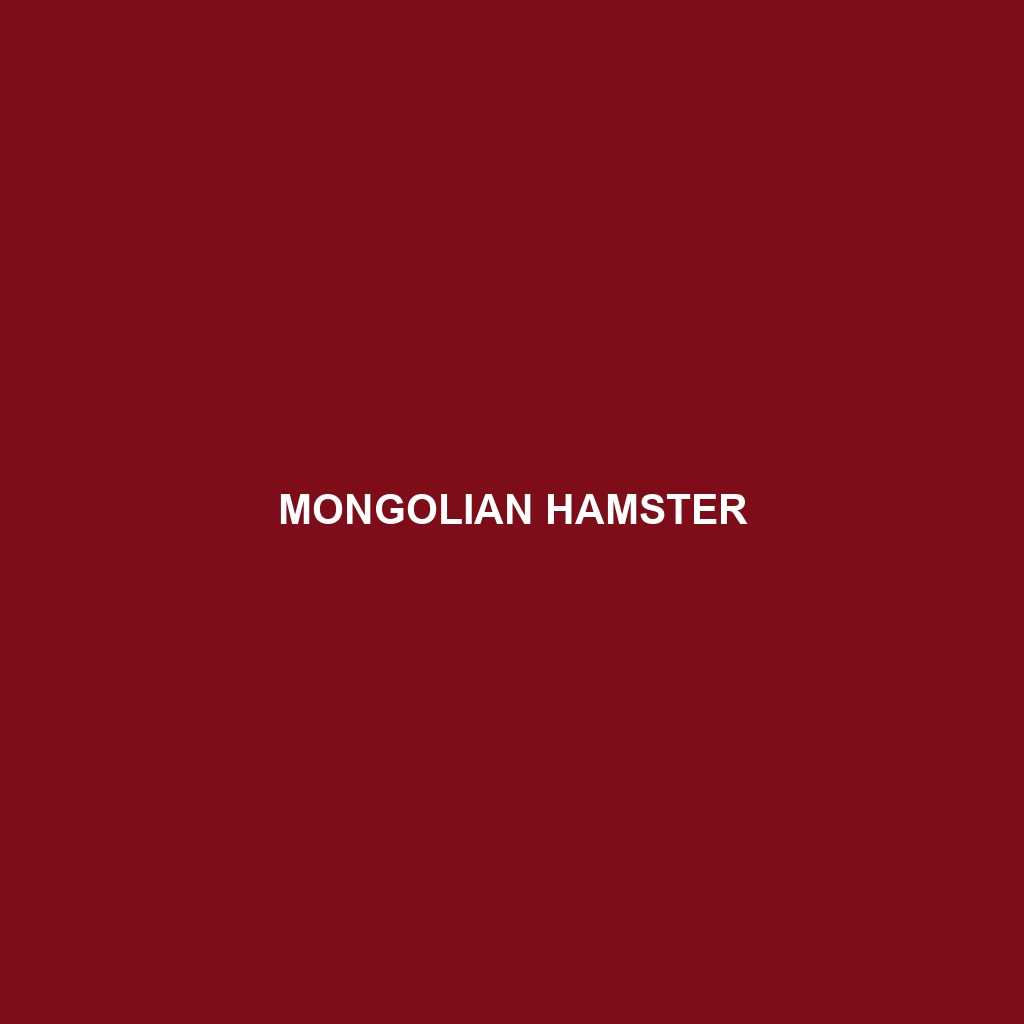 Mongolian Hamster