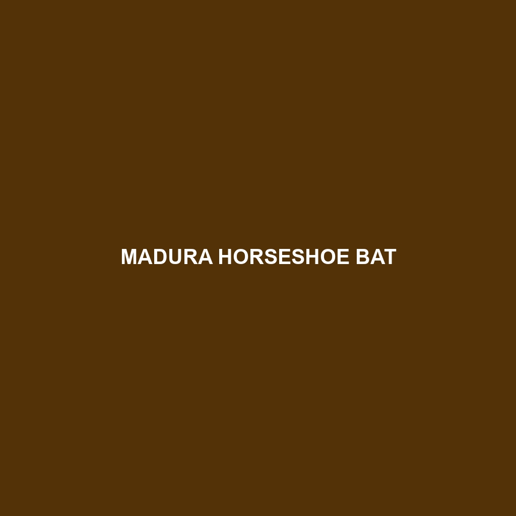 Madura Horseshoe Bat