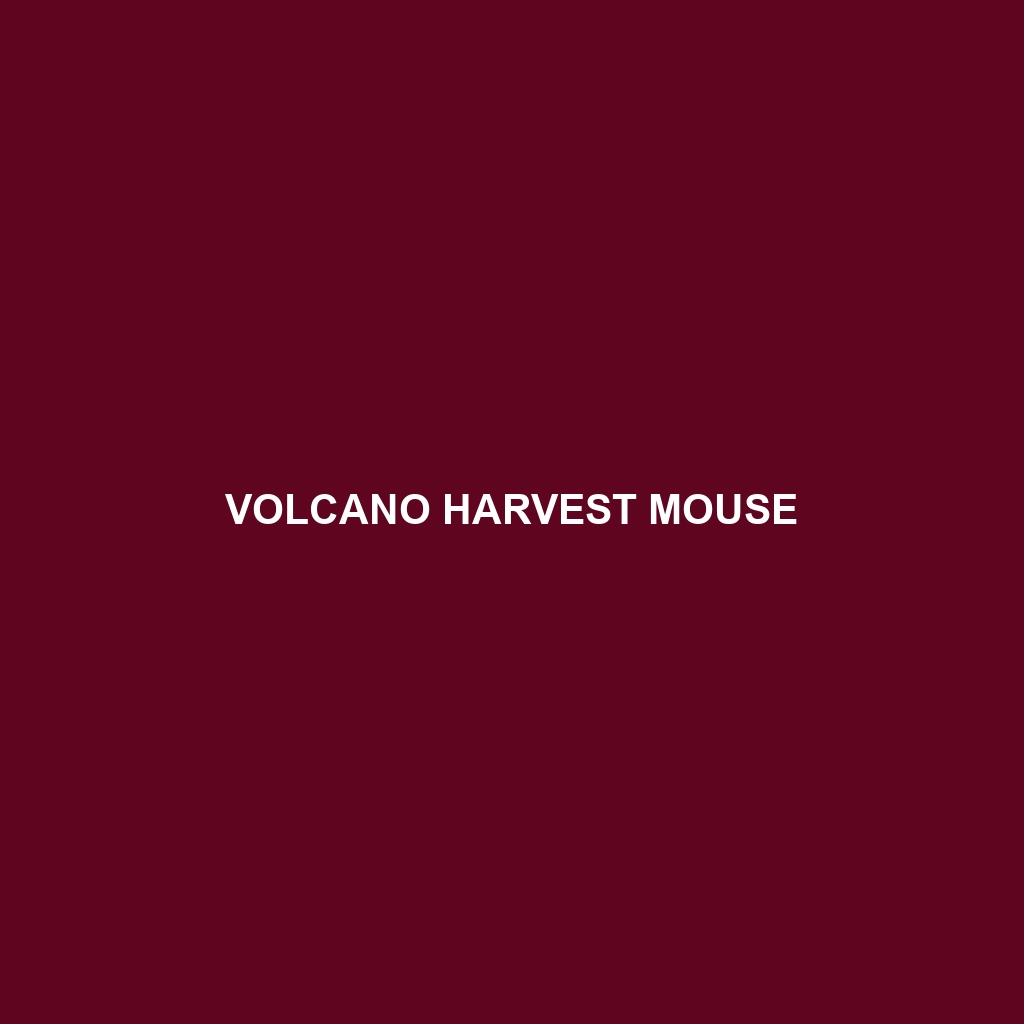 Volcano Harvest Mouse