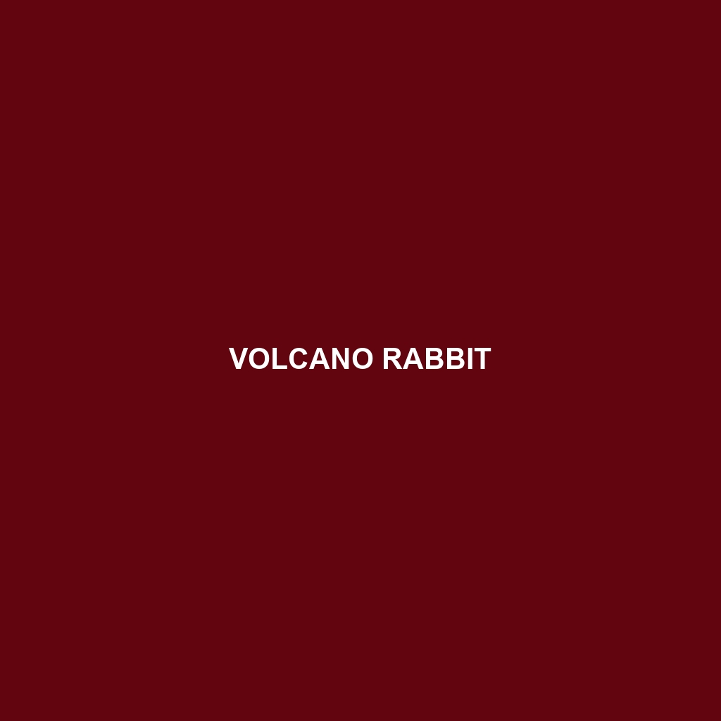 Volcano Rabbit