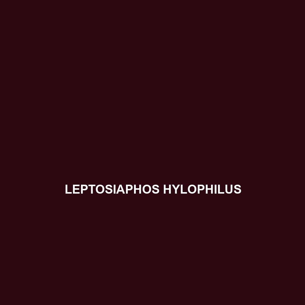 Leptosiaphos hylophilus