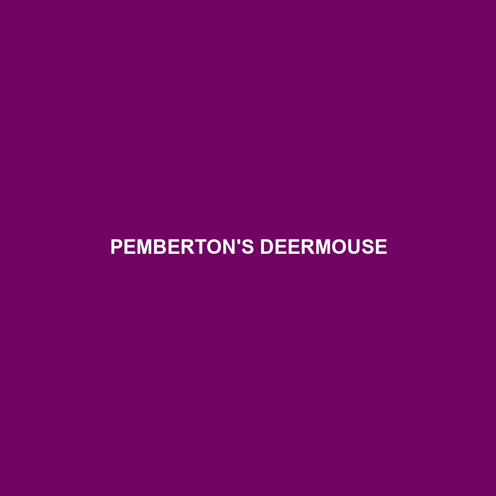 Pemberton's Deermouse