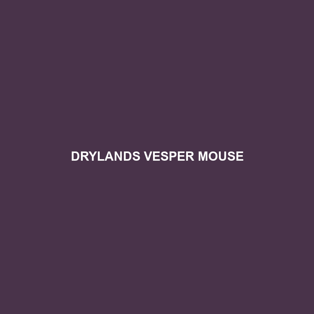 Drylands Vesper Mouse