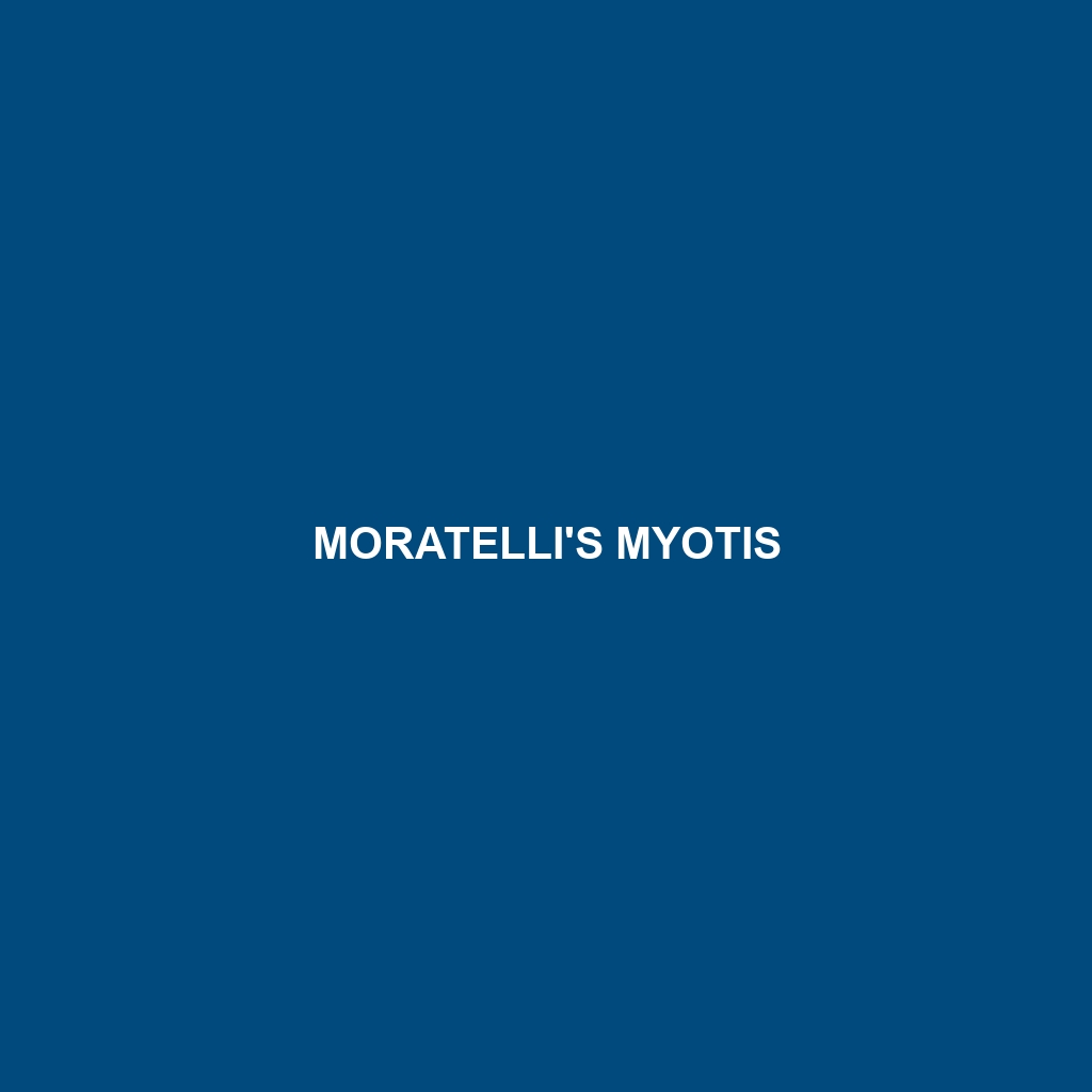 Moratelli's Myotis