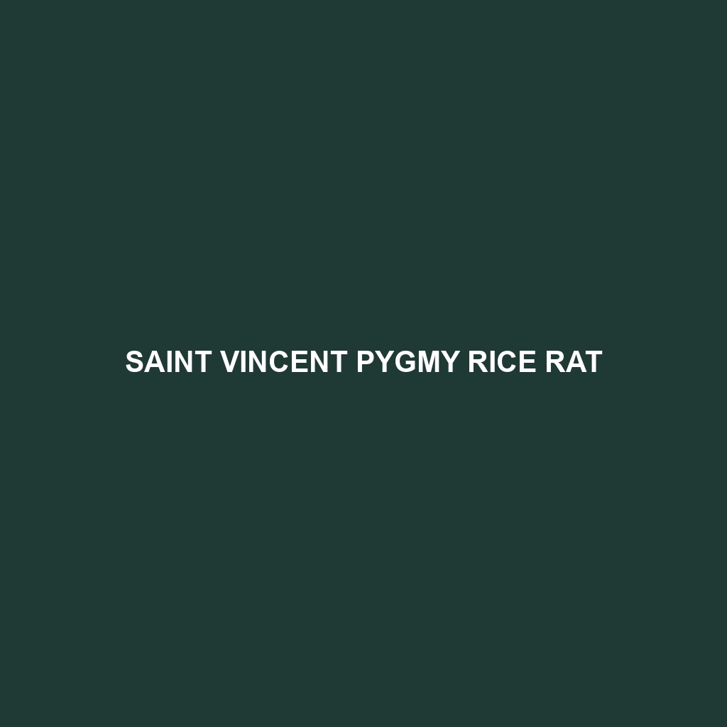 Saint Vincent Pygmy Rice Rat