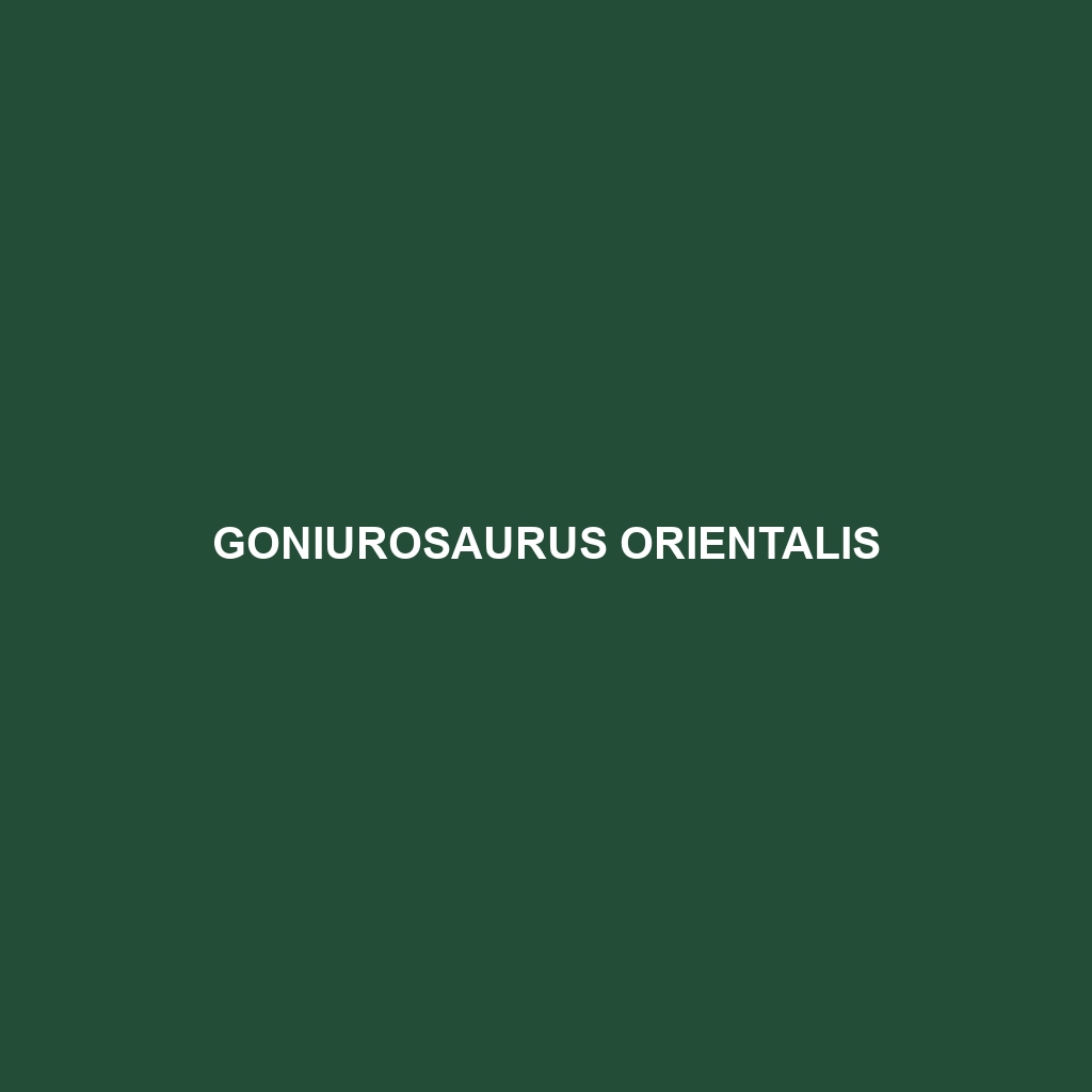 Goniurosaurus orientalis