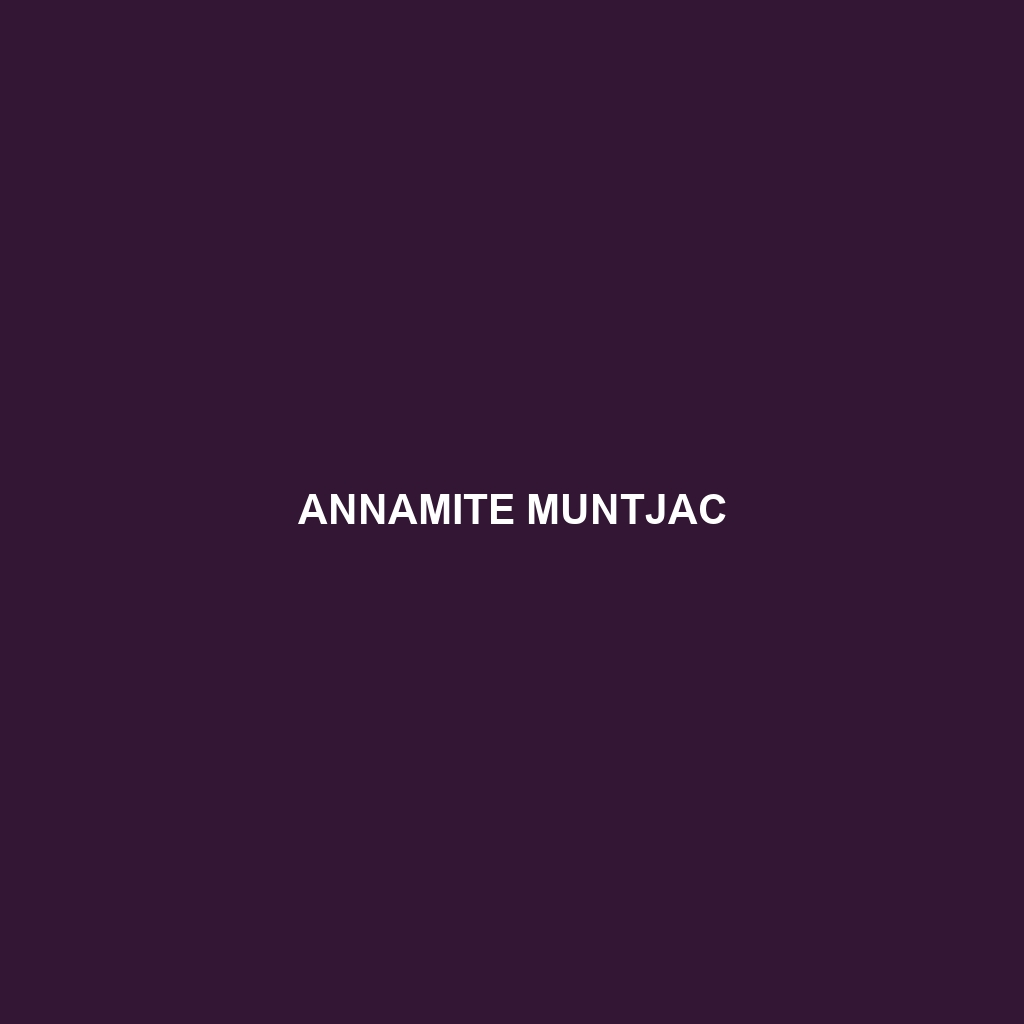 Annamite Muntjac