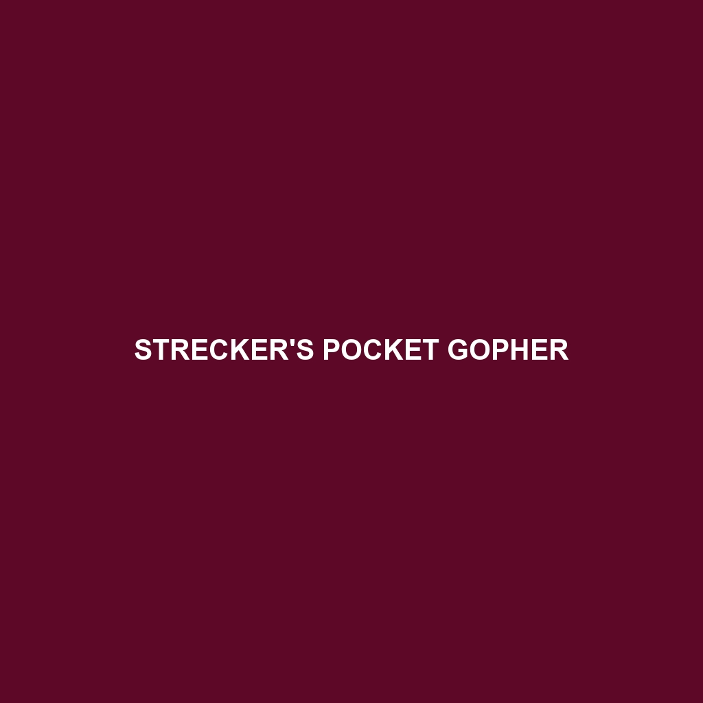 Strecker's Pocket Gopher