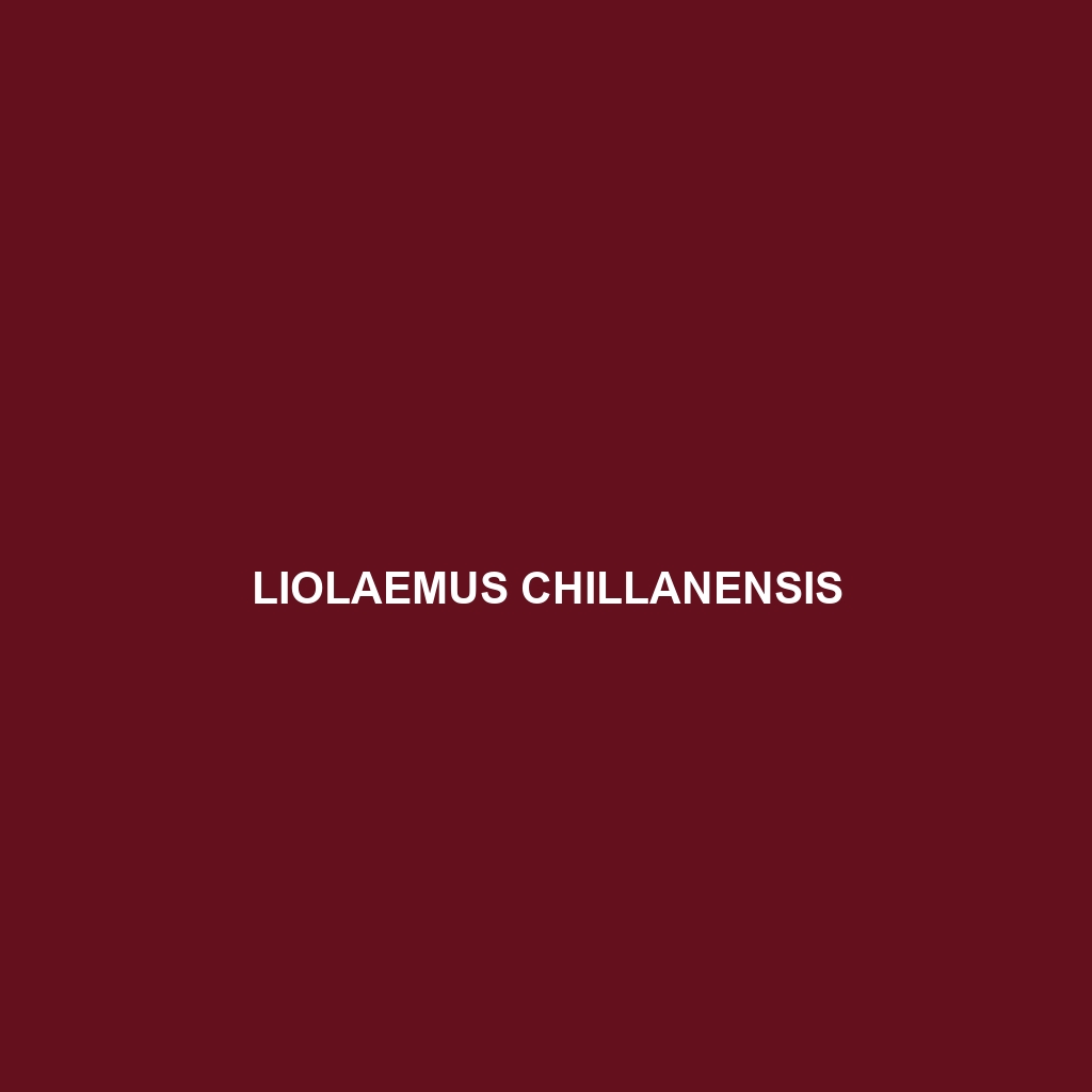 Liolaemus chillanensis