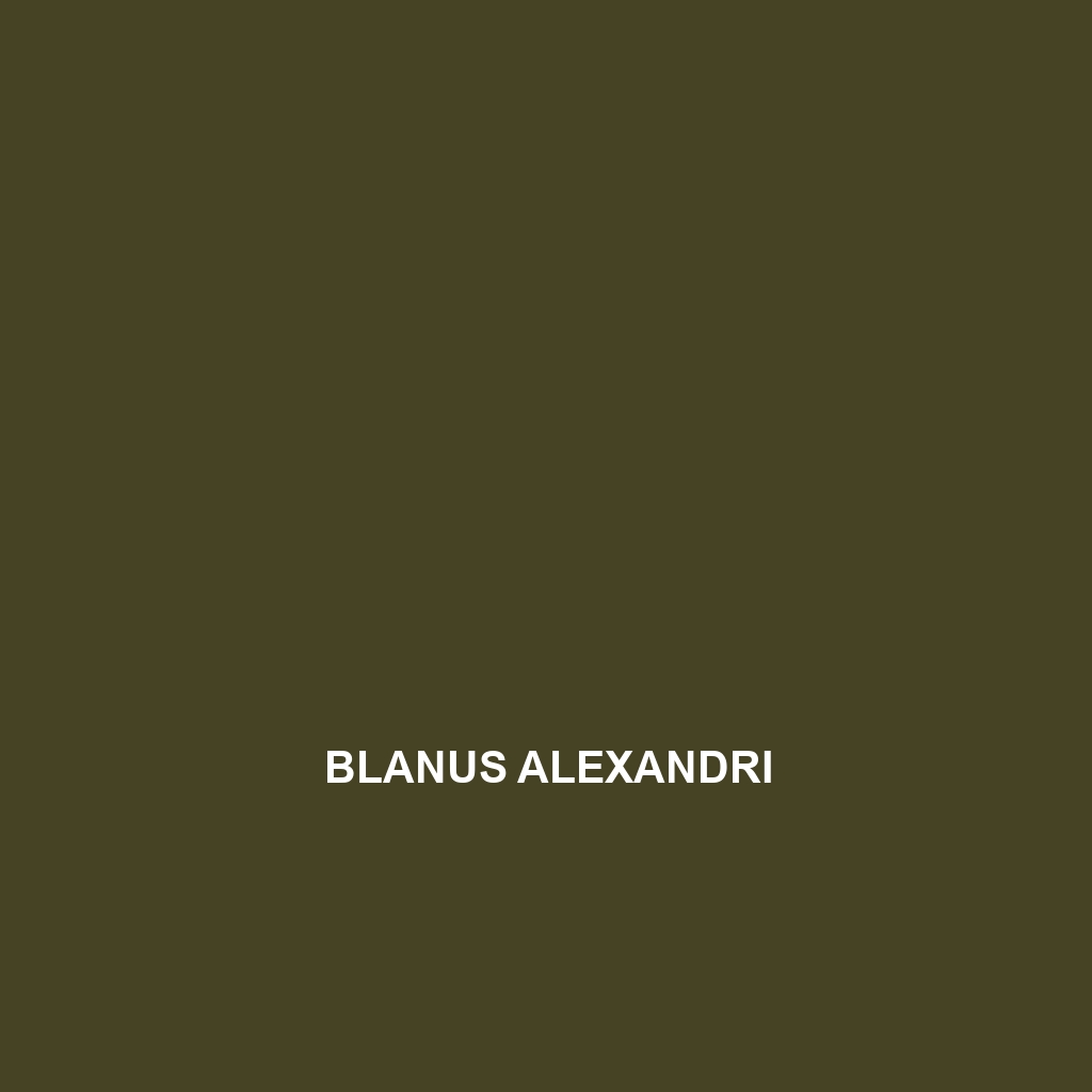 Blanus alexandri