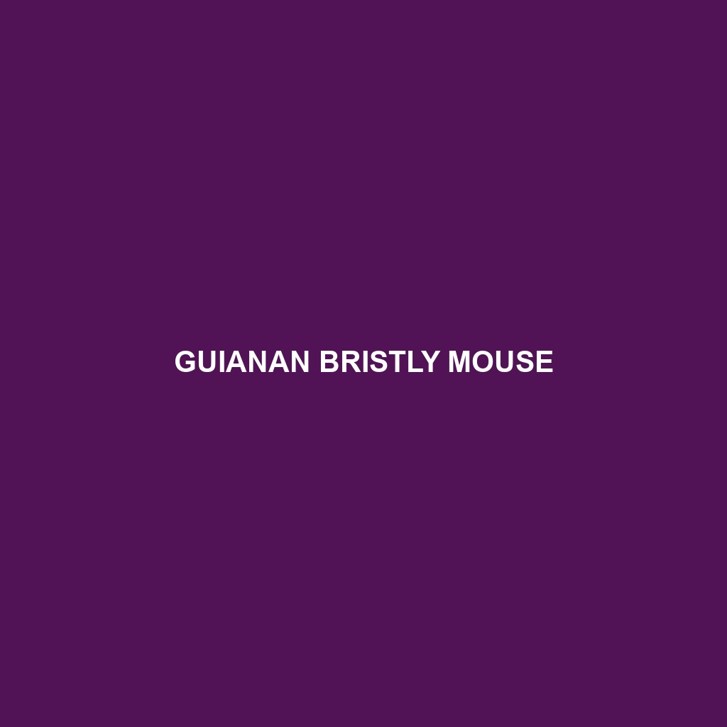 Guianan Bristly Mouse