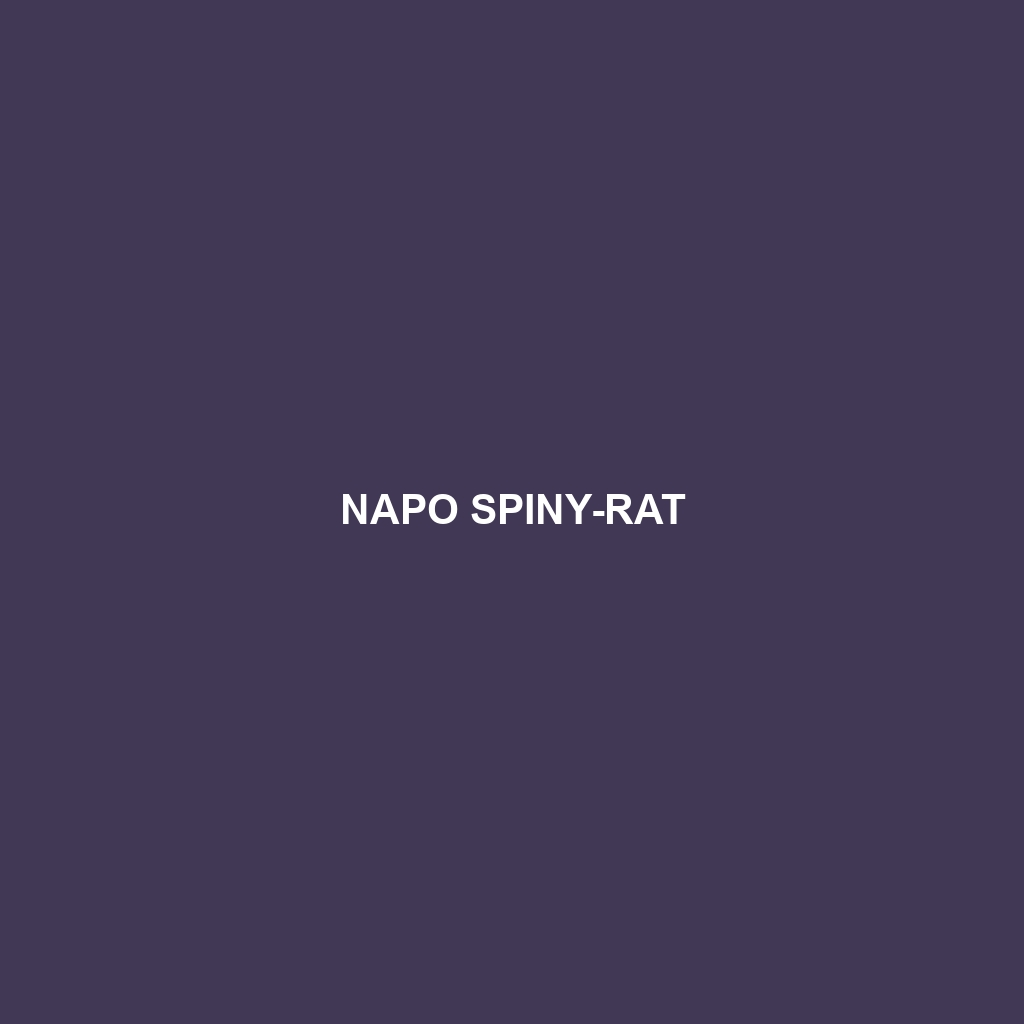 Napo Spiny-rat