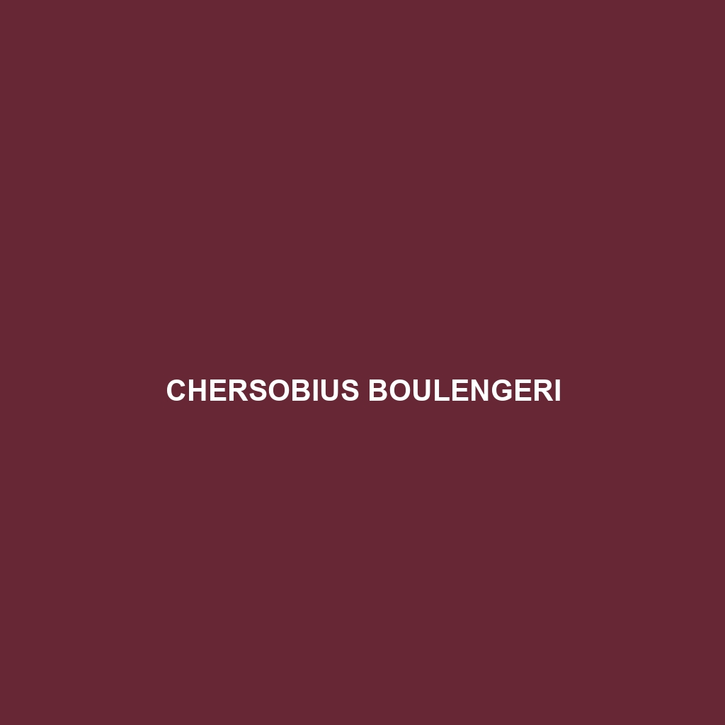 Chersobius boulengeri