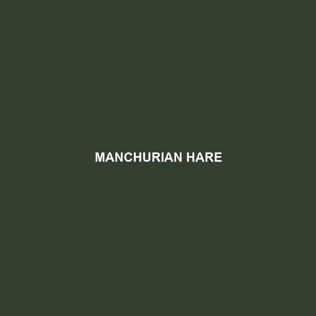 Manchurian Hare