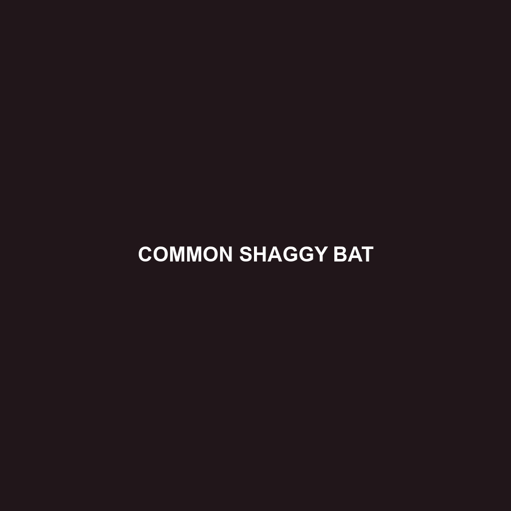 Common Shaggy Bat