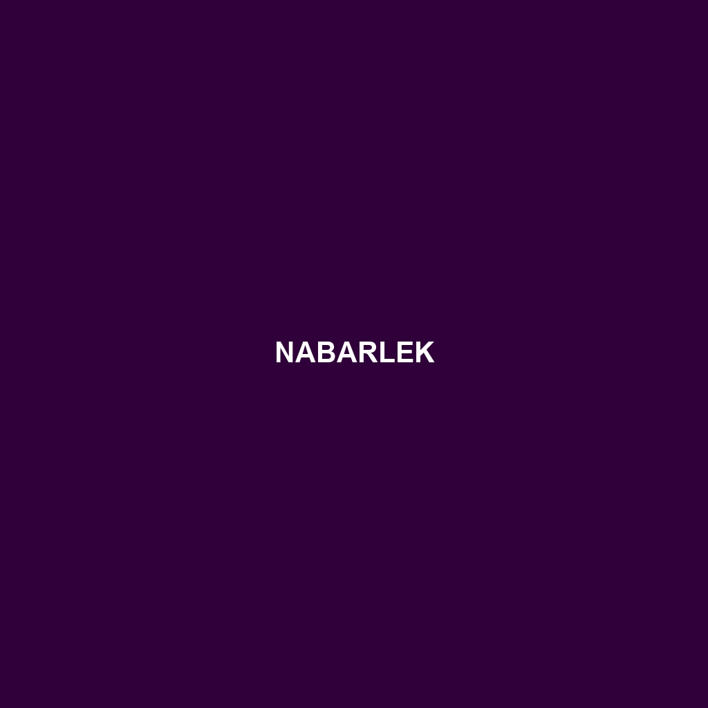 Nabarlek