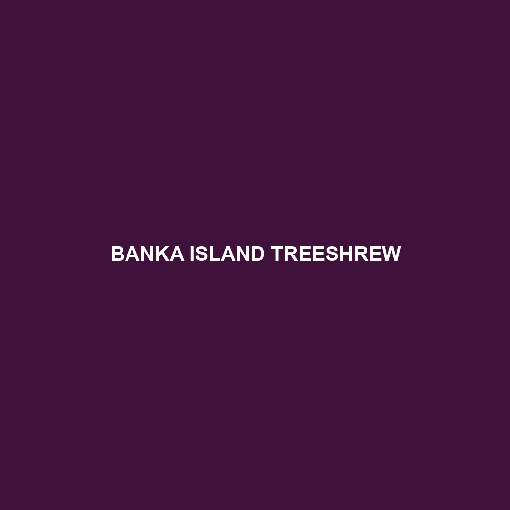 Banka Island Treeshrew