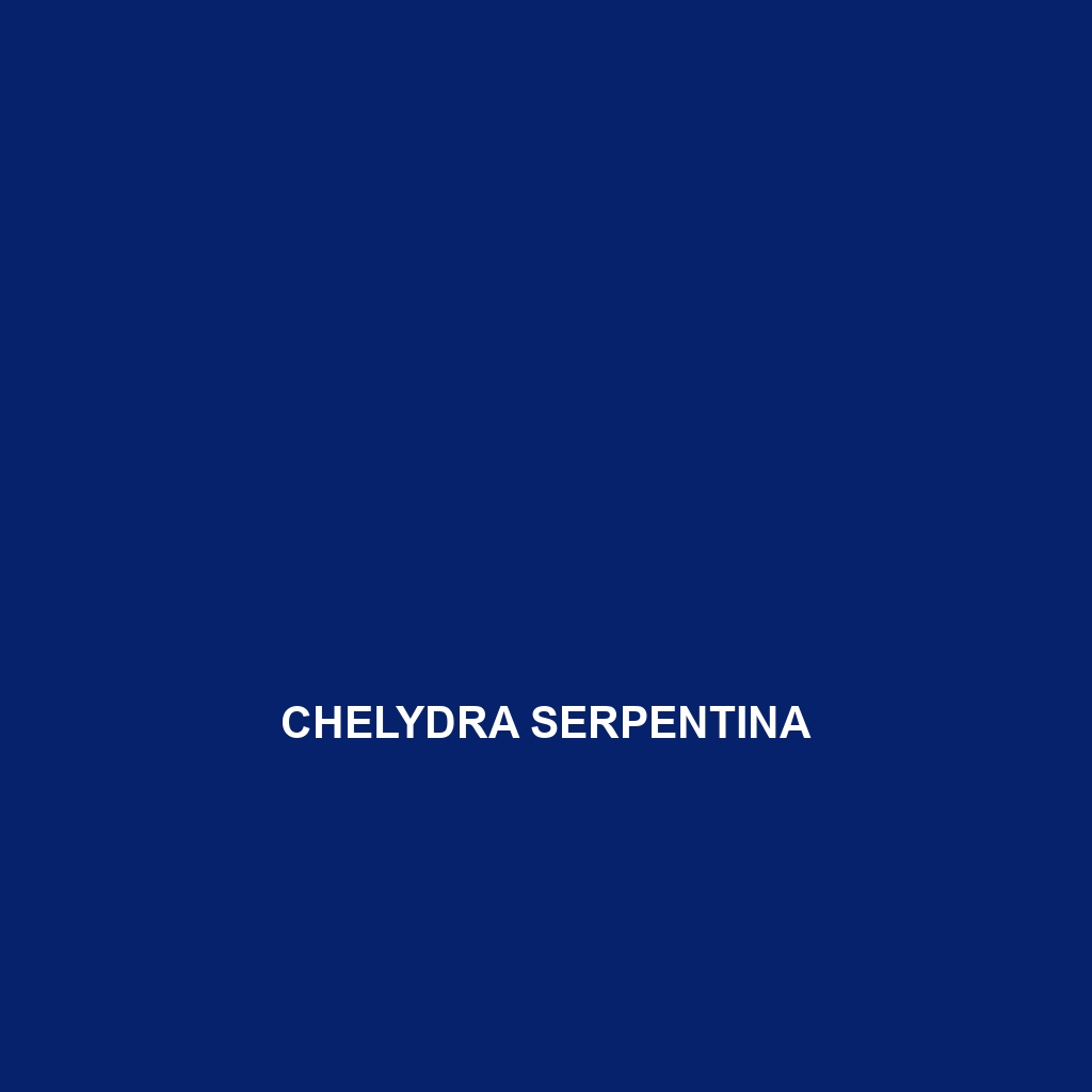 Chelydra serpentina