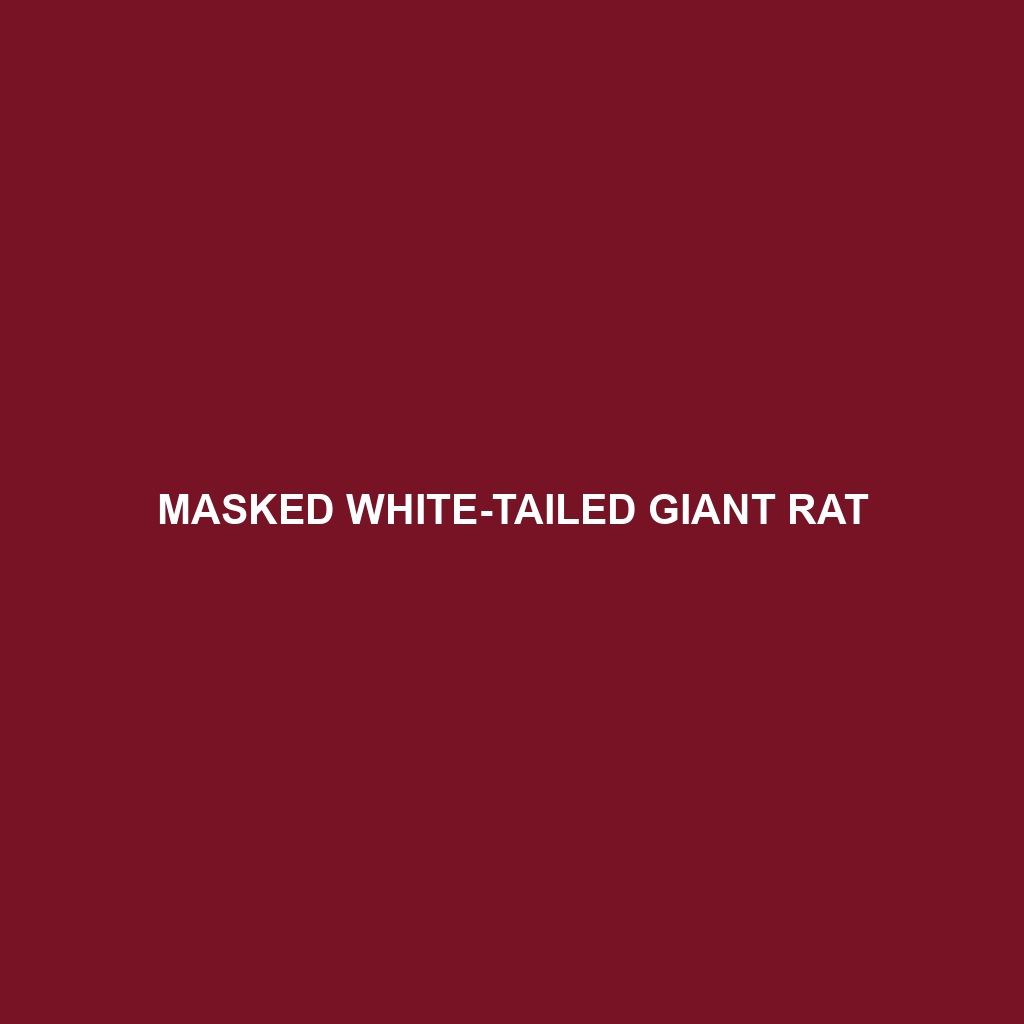 Emperor Giant Rat