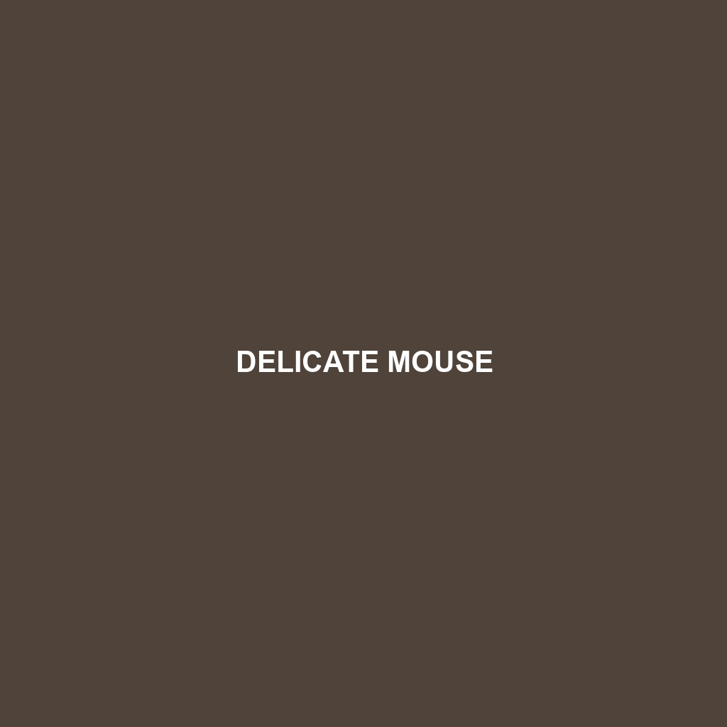 Delicate Mouse