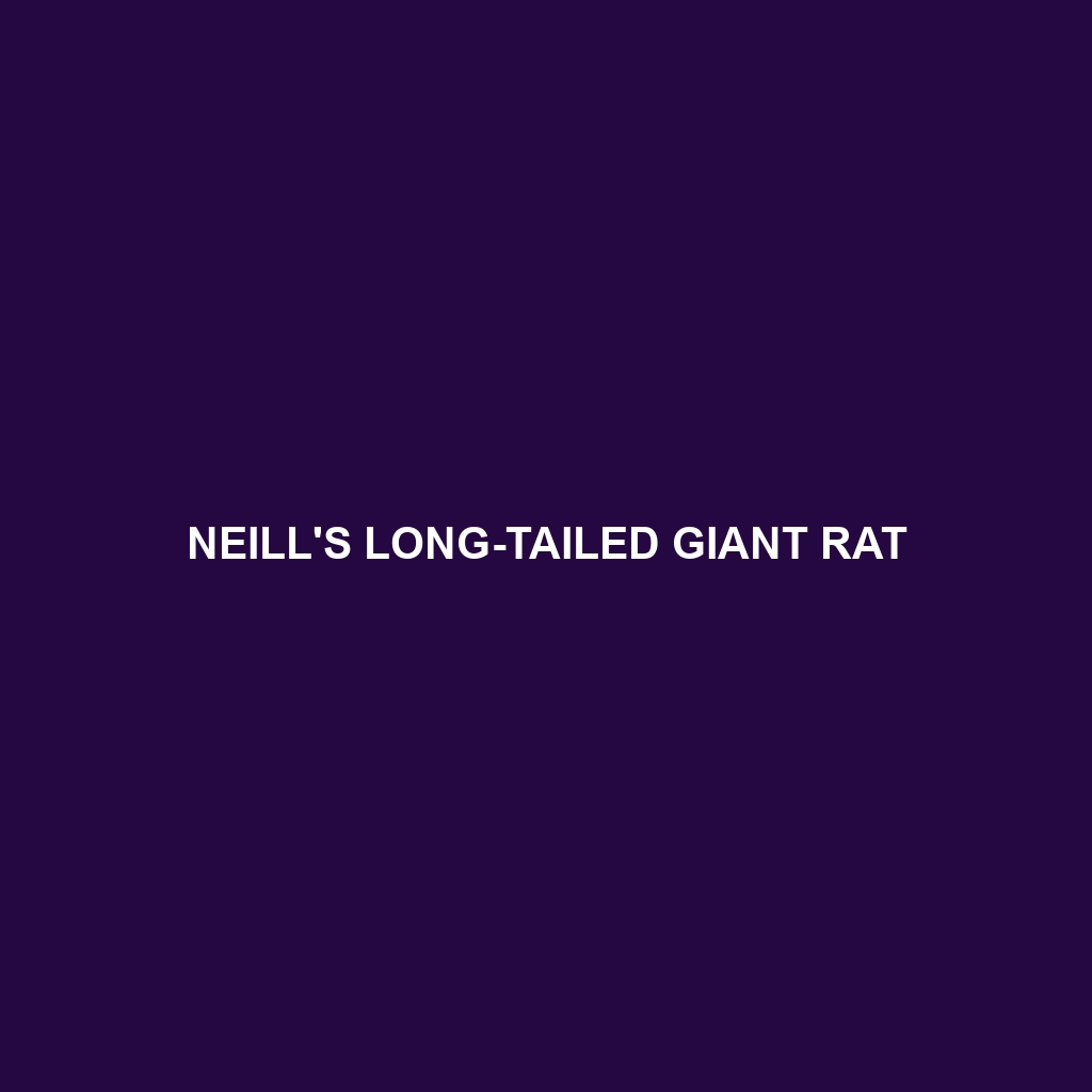 Neill's Long-tailed Giant Rat