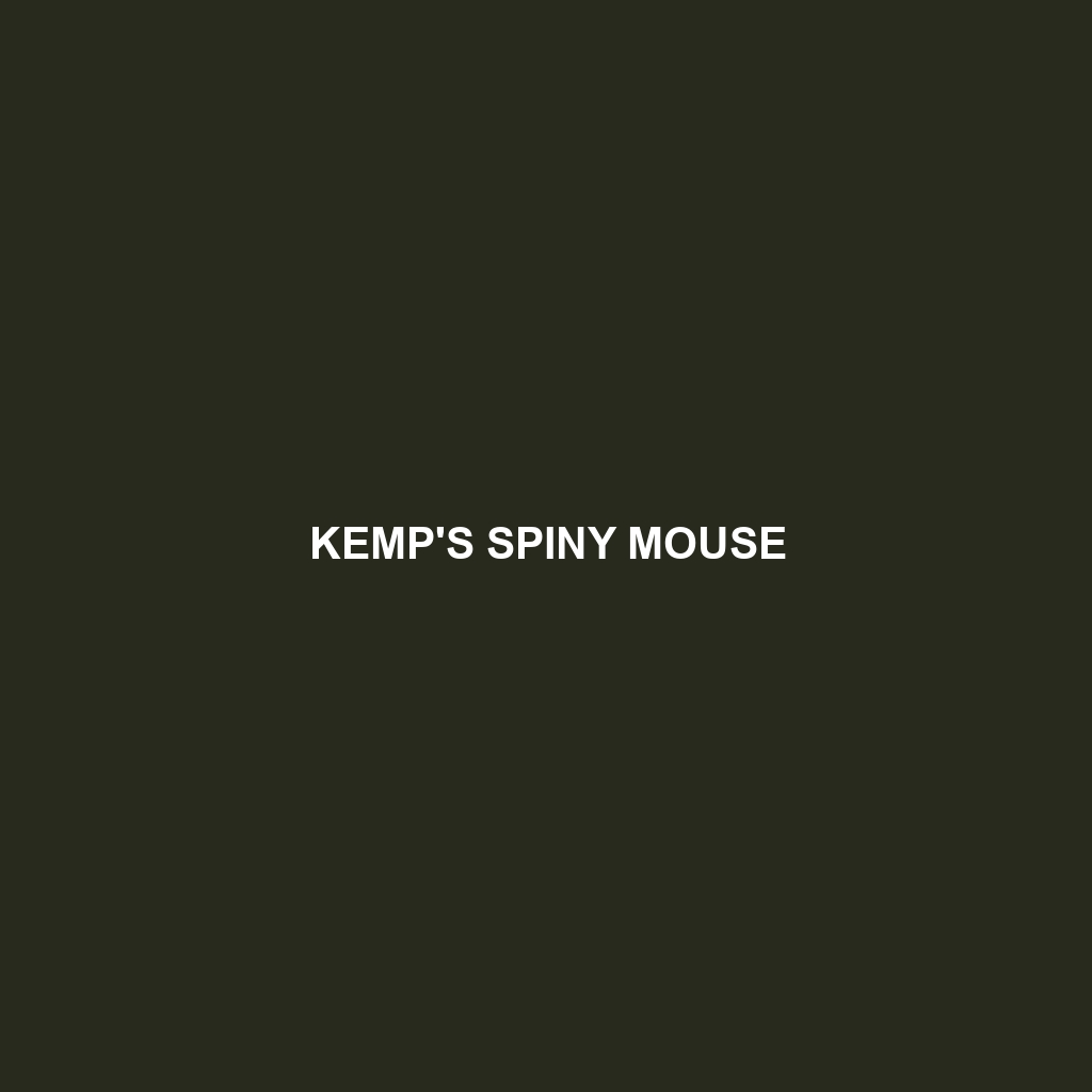 Kemp's Spiny Mouse