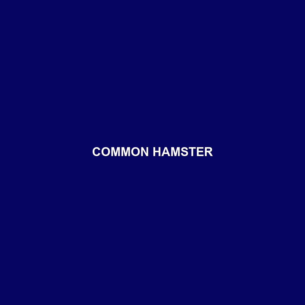 Common Hamster